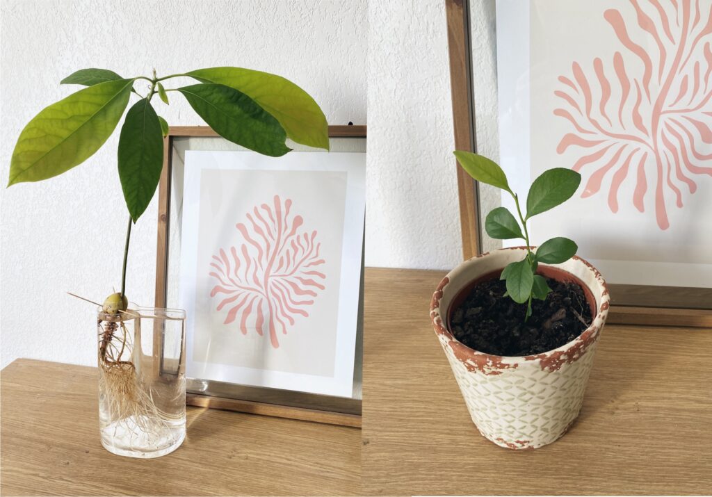 B45CECD5 F872 47C9 A6B8 B0DB1D84CEEE - Blog Lifestyle - DIY - Déco - Recettes - Nina Wauthier